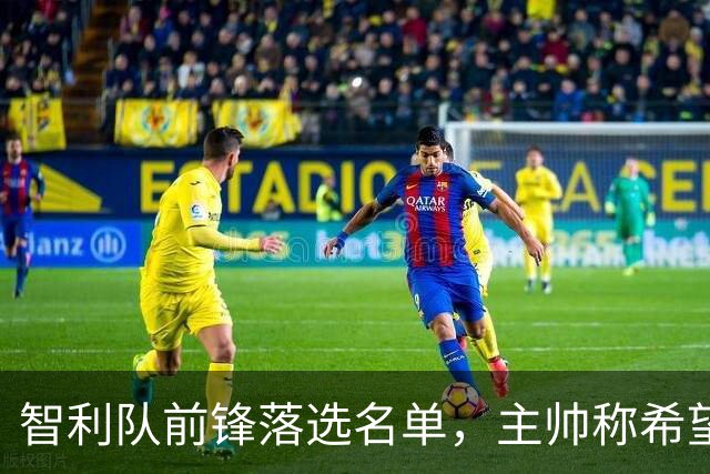 智利队前锋落选名单，主帅称希望他能说西语
